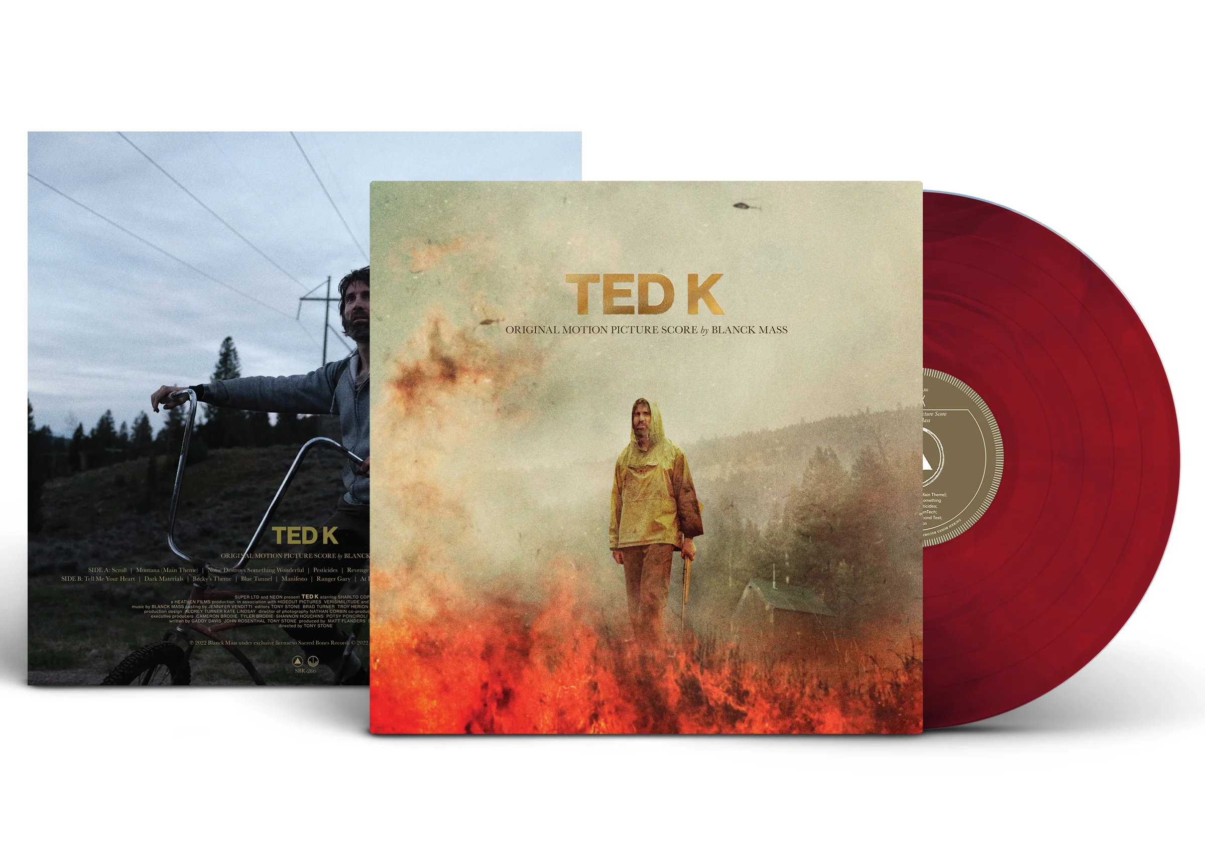 Ted K - Image 3